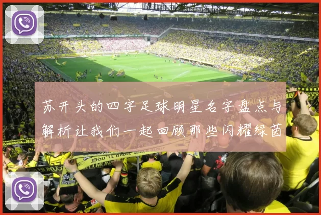 苏开头的四字足球明星名字盘点与解析让我们一起回顾那些闪耀绿茵场的传奇球员