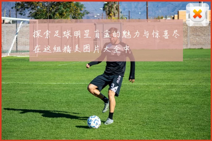 探索足球明星盲盒的魅力与惊喜尽在这组精美图片大全中