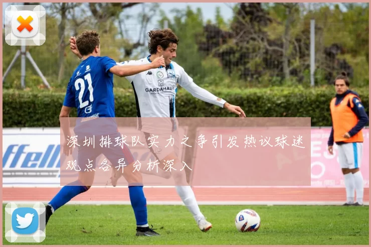 深圳排球队实力之争引发热议球迷观点各异分析深入