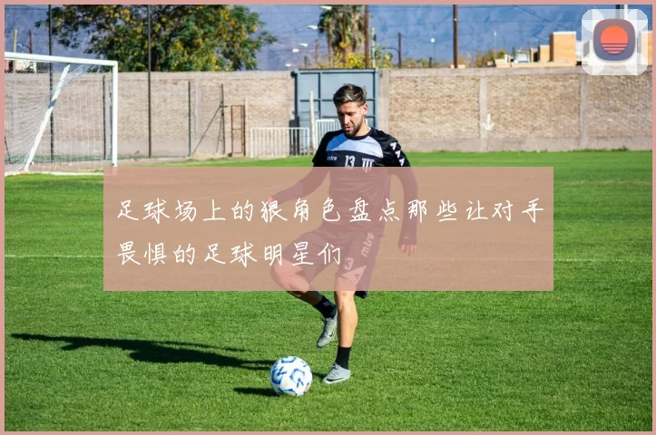 足球场上的狠角色盘点那些让对手畏惧的足球明星们