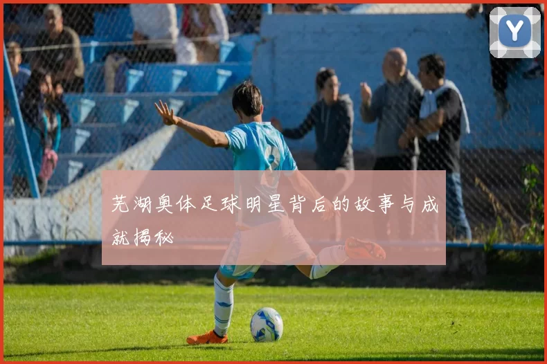 芜湖奥体足球明星背后的故事与成就揭秘