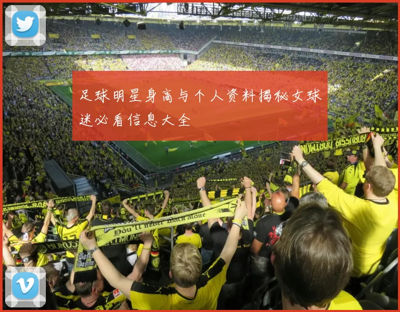 足球明星身高与个人资料揭秘女球迷必看信息大全