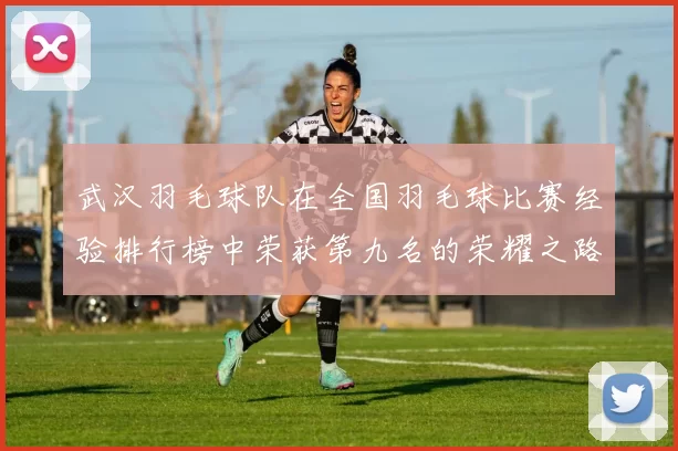 武汉羽毛球队在全国羽毛球比赛经验排行榜中荣获第九名的荣耀之路