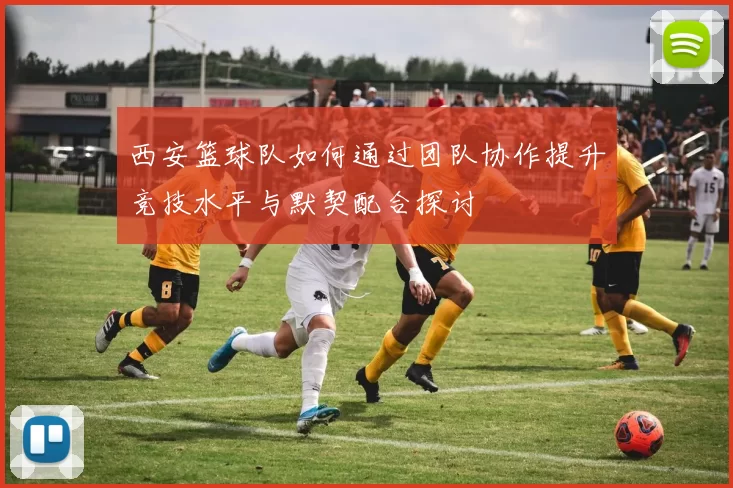 西安篮球队如何通过团队协作提升竞技水平与默契配合探讨