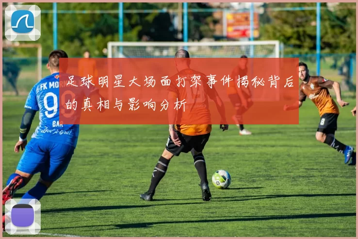 足球明星大场面打架事件揭秘背后的真相与影响分析