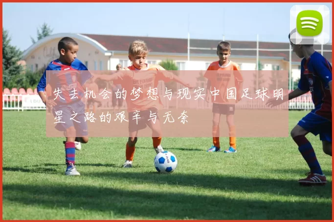 失去机会的梦想与现实中国足球明星之路的艰辛与无奈
