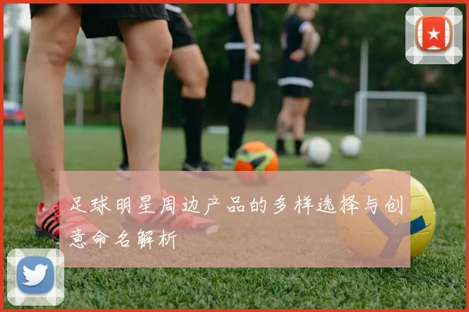 足球明星周边产品的多样选择与创意命名解析
