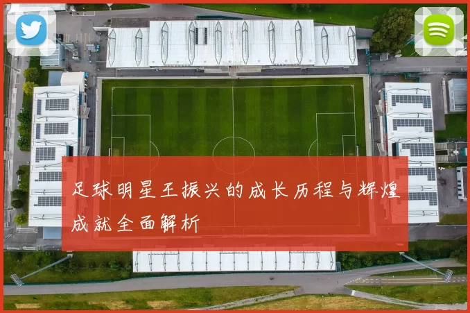 足球明星王振兴的成长历程与辉煌成就全面解析