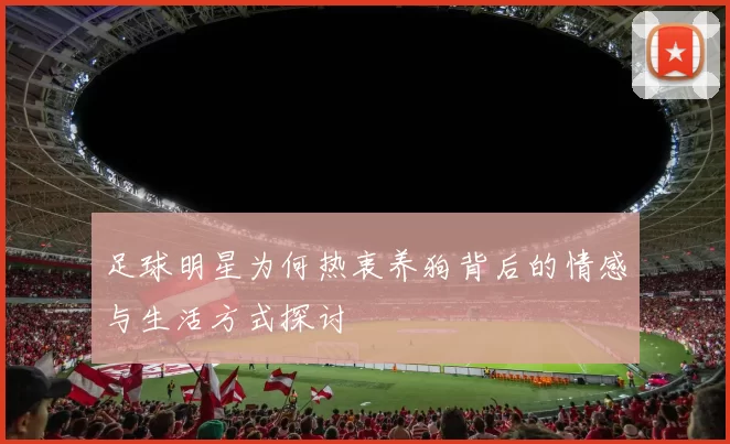 足球明星为何热衷养狗背后的情感与生活方式探讨