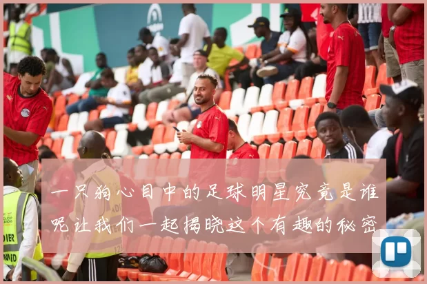 一只狗心目中的足球明星究竟是谁呢让我们一起揭晓这个有趣的秘密