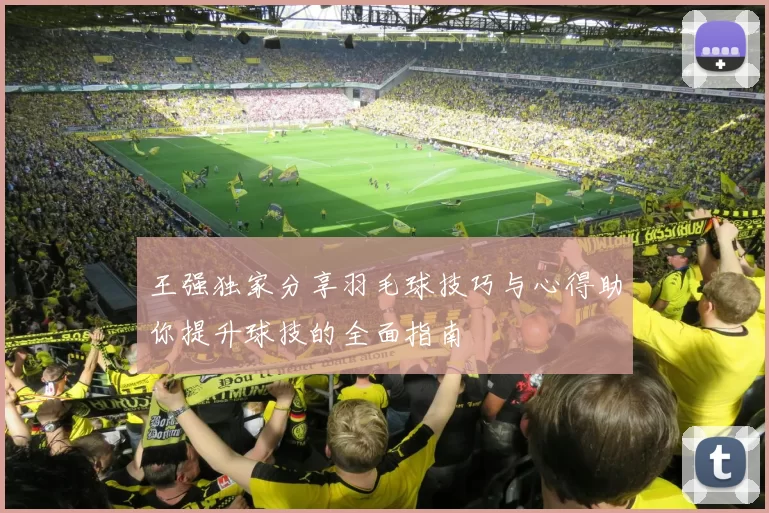 王强独家分享羽毛球技巧与心得助你提升球技的全面指南