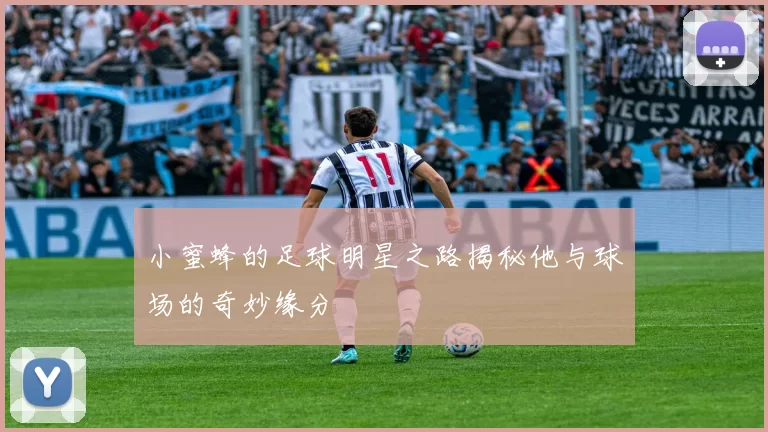 小蜜蜂的足球明星之路揭秘他与球场的奇妙缘分