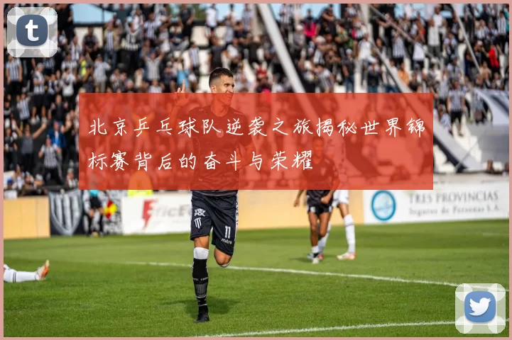 北京乒乓球队逆袭之旅揭秘世界锦标赛背后的奋斗与荣耀