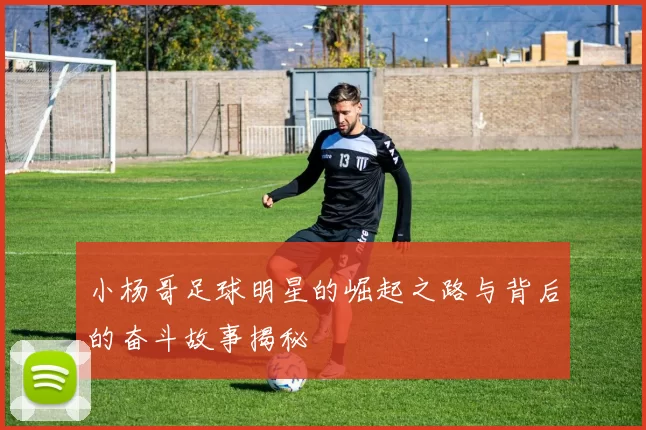 小杨哥足球明星的崛起之路与背后的奋斗故事揭秘