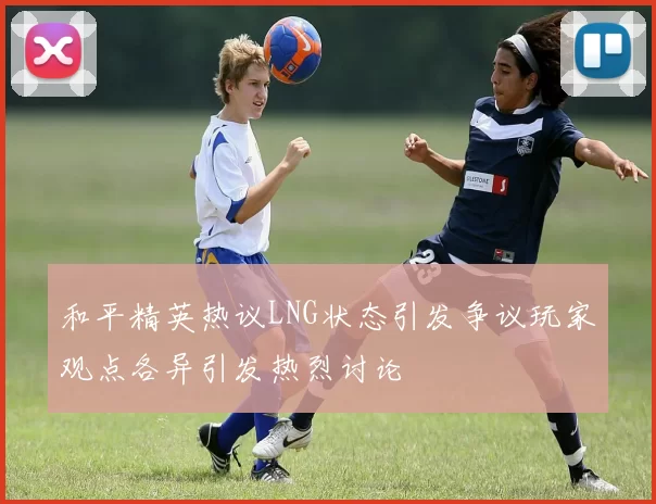 和平精英热议LNG状态引发争议玩家观点各异引发热烈讨论
