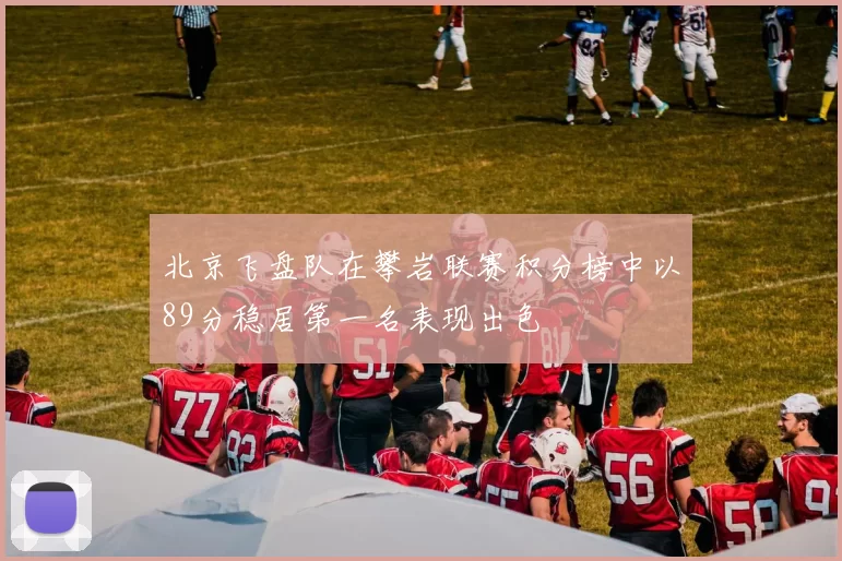 北京飞盘队在攀岩联赛积分榜中以89分稳居第一名表现出色