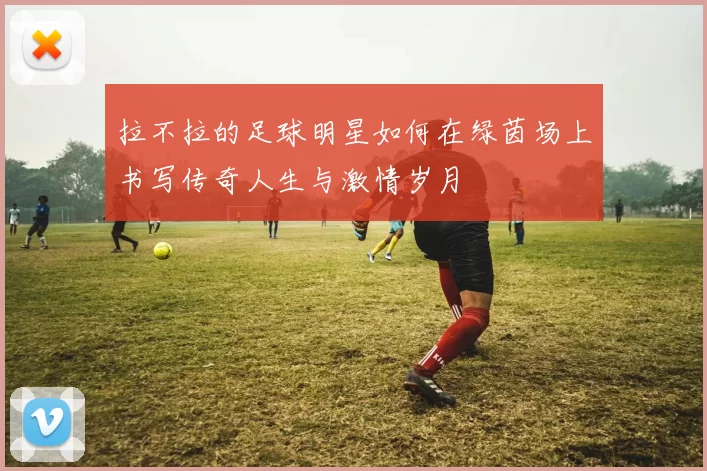 拉不拉的足球明星如何在绿茵场上书写传奇人生与激情岁月