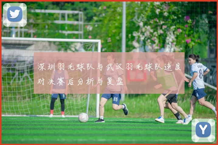 深圳羽毛球队与武汉羽毛球队速度对决赛后分析与复盘
