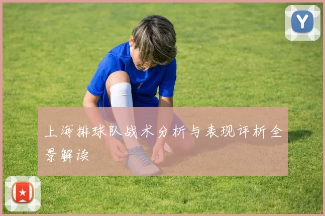 上海排球队战术分析与表现评析全景解读