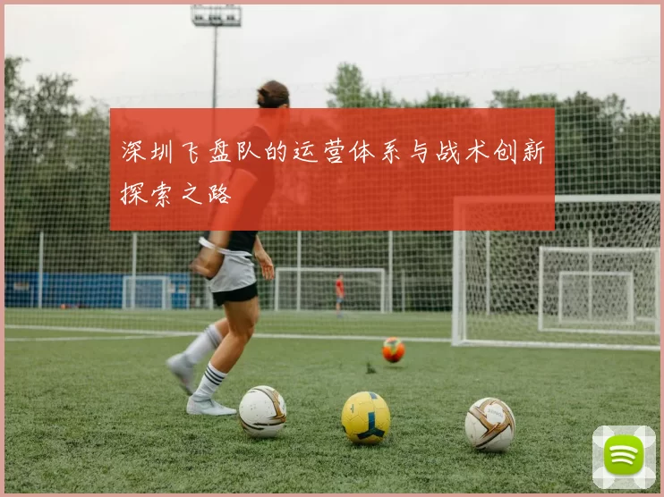 深圳飞盘队的运营体系与战术创新探索之路