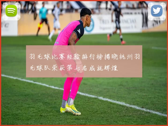 羽毛球比赛经验排行榜揭晓杭州羽毛球队荣获第七名成就辉煌