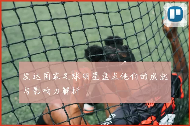 发达国家足球明星盘点他们的成就与影响力解析