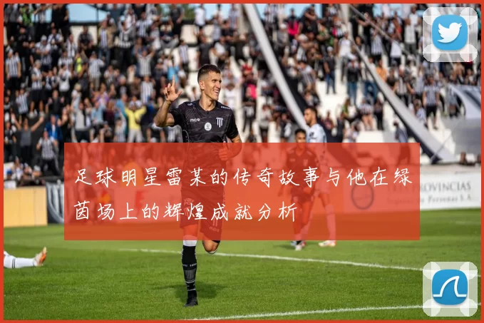 足球明星雷某的传奇故事与他在绿茵场上的辉煌成就分析